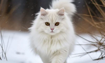 Порывы ветра на Орловщине будут достигать 20 м/с