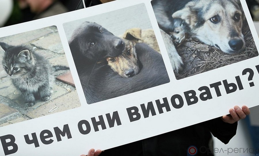 многоквартирный дом. многоквартирные дома. многоэтажный дом. общедомовое имущество в многоквартирном доме. общедомового счетчика на отопление в многоквартирном доме.