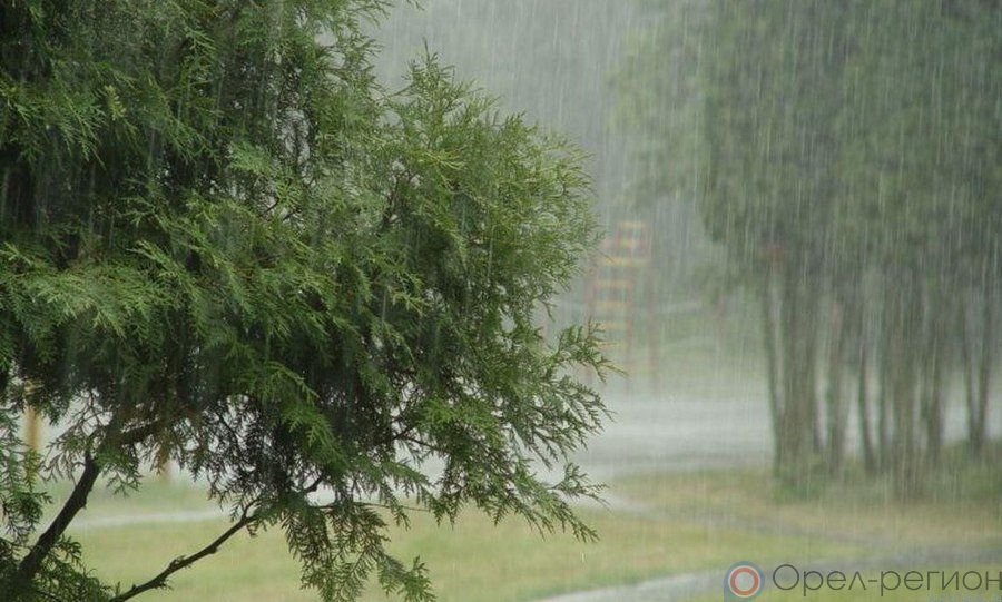 На Орловскую область снова надвигается сильный ветер и дождь