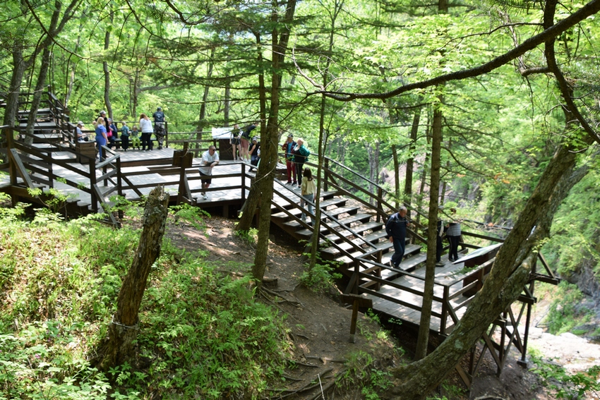 «Земля леопарда»