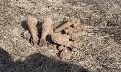 В Малоархангельском районе изъяли четыре миномётные мины