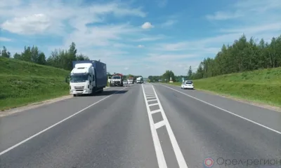 В Орловской области грузовик насмерть сбил 62-летнего пешехода