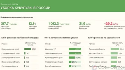 Орловщина стала первой в России по урожайности кукурузы на зерно