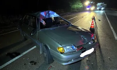 На орловской трассе под колёсами легковушки погиб лось