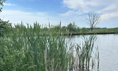 Фирма незаконно арендовала землю около пруда Сахарного под Орлом