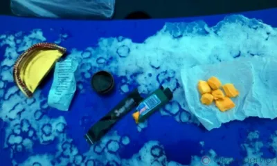 Жителю Узбекистана грозит 20 лет тюрьмы за попытку сбыть наркотики в Орле