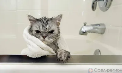 В Орле в доме на ул. Латышских Стрелков на две недели отключили горячую воду