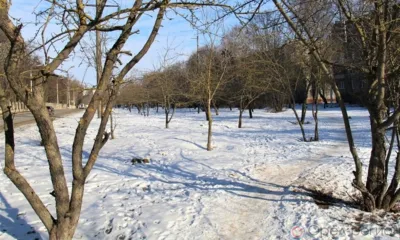 Рубрика «Компас в мире вопросов»