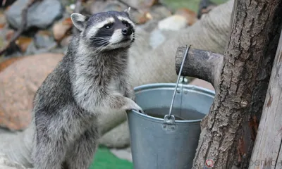 13 и 14 марта без горячей воды останутся жители трёх районов Орла