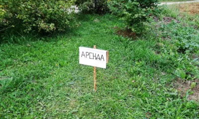 В Свердловском районе у арендатора через суд отобрали земельный участок