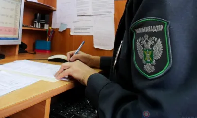 Орловский Россельхознадзор нашёл большое количество нарушений в деятельности ООО «Маслово»