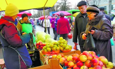 Рубрика «Компас в мире вопросов»