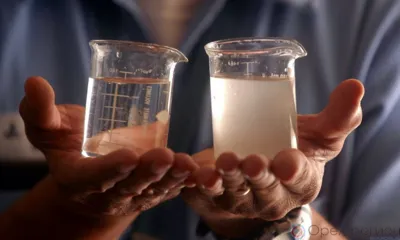 Александр Бастрыкин заинтересовался обращением орловского бойца СВО