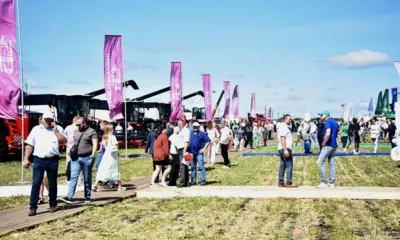 На Орловщине День поля-2025 пройдёт в Мценском районе