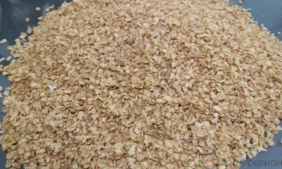 В Туркмению из Орловской области экспортирована первая партия зерновой продукции