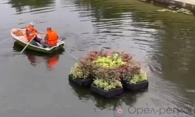По Орлику пустили «плавучие острова»