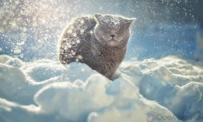 На Орловщину идут аномальные морозы