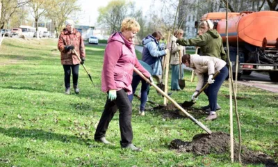 В Советском районе Орла высадили липы