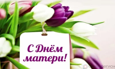 Сегодня в орловских семьях отмечают День матери