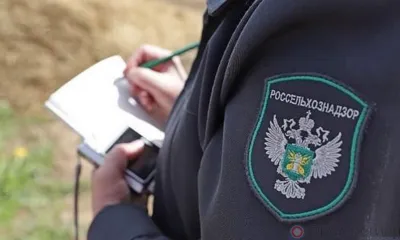 В Орловской области закрыли фантомное предприятие