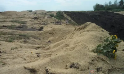 В Должанском районе ликвидировали свалку зерноотходов