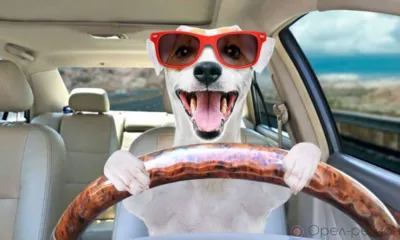 Возле вокзала в Орле на неделю закроют движение