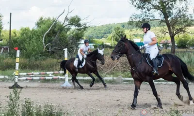 В Орловской области на 90 дней закрыли несанкционированный детский лагерь