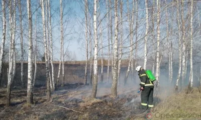 За сутки на Орловщине подтвердились 13 термоточек