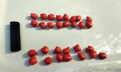 Орловские полицейские задержали иностранца с героином