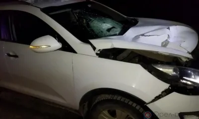 Под Орлом насмерть сбили 19-летнего парня