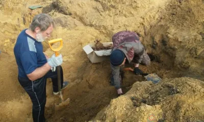 Орловские поисковики обнаружили большое захоронение советских бойцов