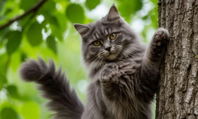 Кот отблагодарил орловских спасателей взмахом хвоста