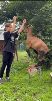 Фото 2. Жители Знаменского района приняли участие в конном празднике на Злынском конезаводе