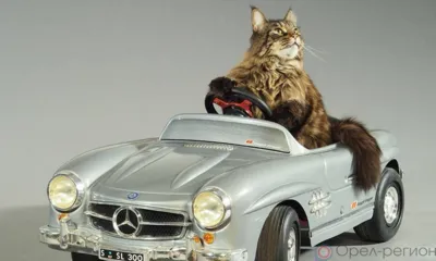 Орловцам до конца августа ограничат движение по Советскому и Железнодорожному районам