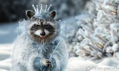 На Орловщину пришёл сильный снег и ветер