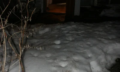 Орловца задержали за жестокую расправу над товарищем