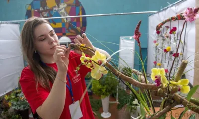 В Орле продолжается региональный чемпионат «Молодые профессионалы» (Worldskills Russia)