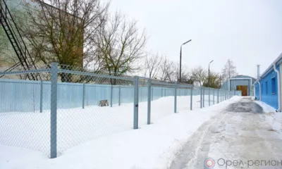 Андрей Клычков сообщил о скором открытии приюта для животных в Орле