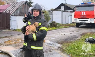 В Орле из горящего дома спасли мужчину и собаку