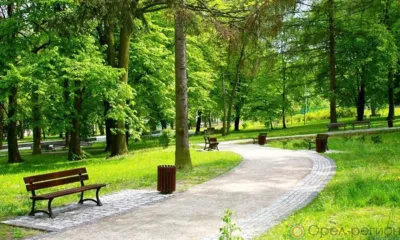 На благоустройство сквера в посёлке Покровское потратят более 1 млн рублей