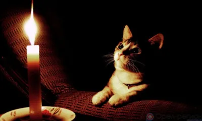 В Заводском районе Орла произошло аварийное отключение электричества