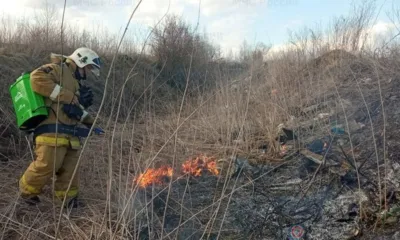Орловские пожарные за сутки 22 раза выезжали на тушение сухой травы