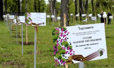 В Орле высадили 97 молодых лип в память погибших в ходе СВО героев