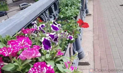 Александровский мост в Орле украсили живыми цветами