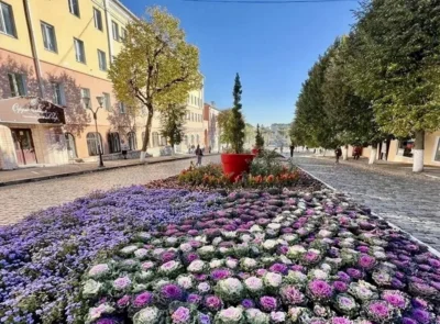 В Орле осенью высадят 900 деревьев