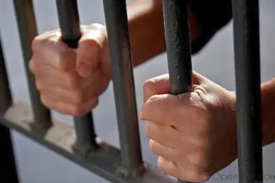 Житель Глазуновского района предстанет перед судом за нападение на полицейских и нарушение ПДД