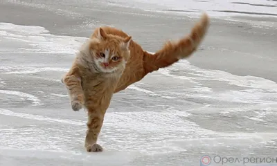 Орловцев предупреждают об осадках и сильном ветре в ближайшие сутки