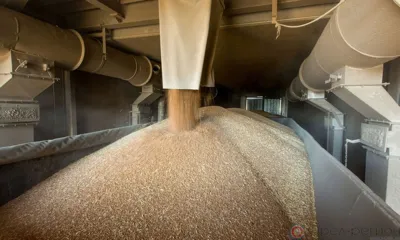 В Шаблыкинском районе завершается строительство зерносушильного комплекса