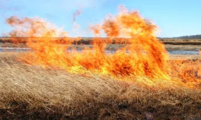 Андрей Клычков обратился к орловцам с просьбой не жечь сухую траву