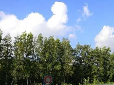 «Цифровой лес» - наведение порядка в наших лесах